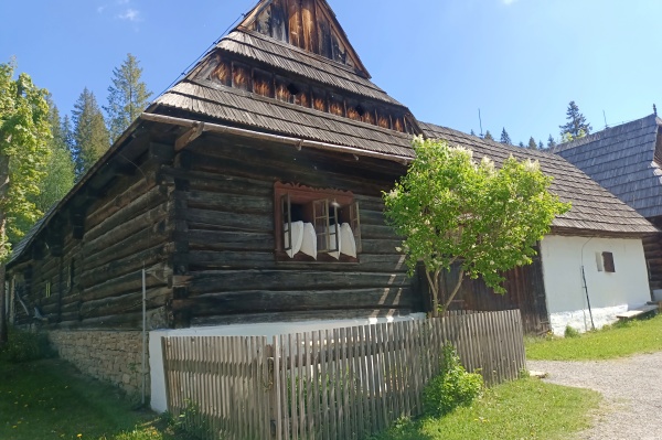IMG_20260526_100646.jpg